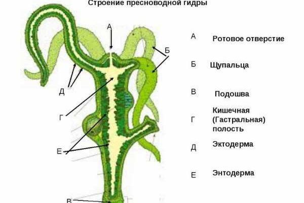 Кракен зеркало 2 веб